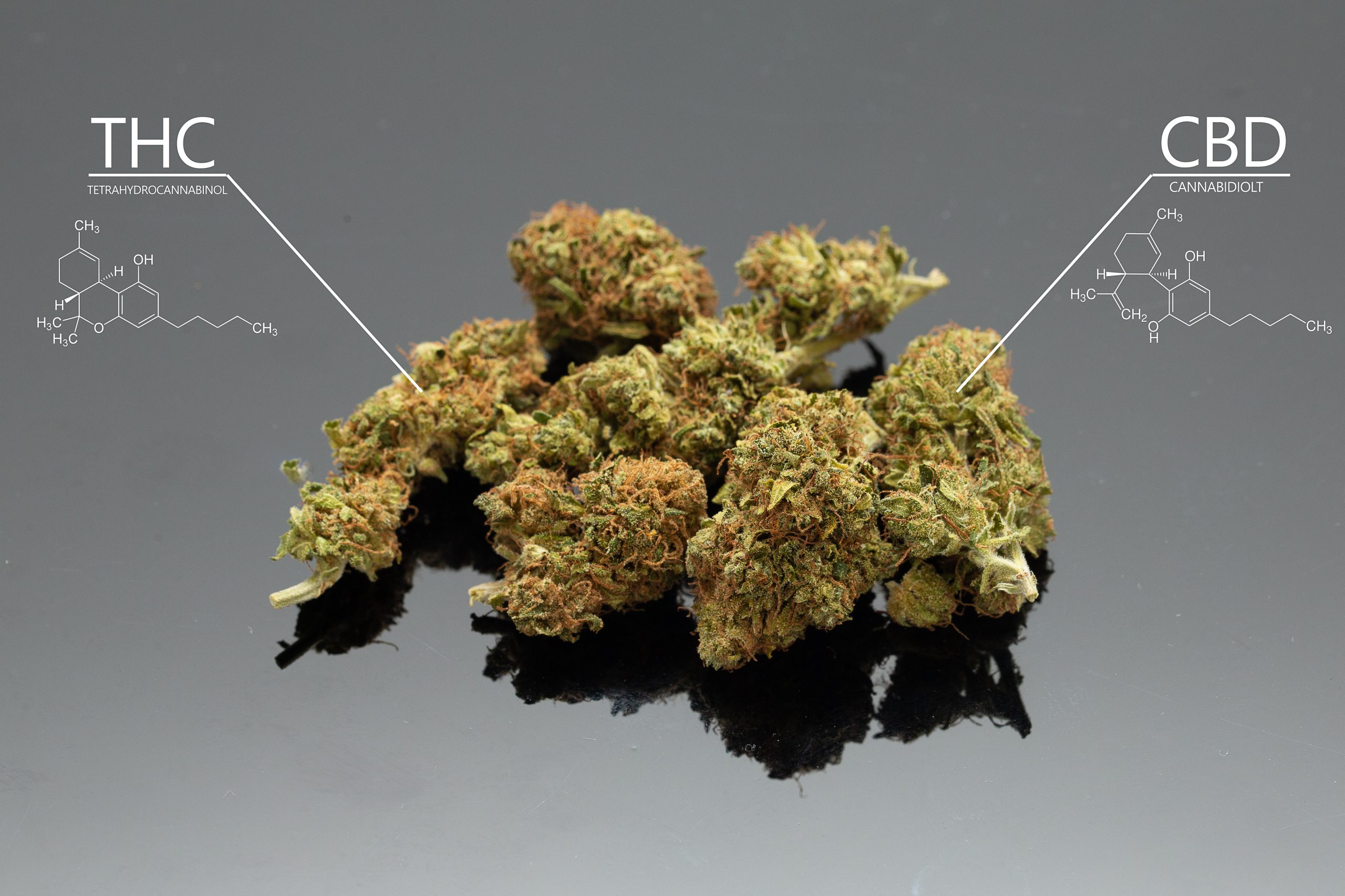What is THCa Hash?